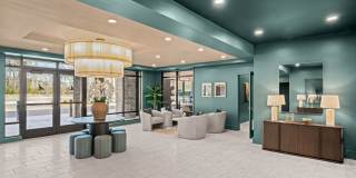 The Canopy Gallery 32