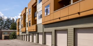 Madison Bellevue Gallery 16