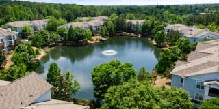 Columns at Wakefield Gallery 51