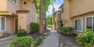 Southwood Townhomes Gallery 5