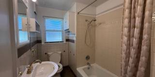 Audubon-Downriver Neighborhood 4 bedroom, 1 bath corner lot with large, fenced yard Gallery 4