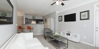 Oakwood Vista Gallery 4