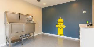 Summerfield Apartments Gallery 58