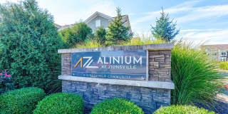 Alinium at Zionsville Gallery 41
