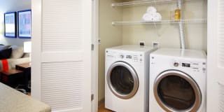 Avalon Alderwood Gallery 19