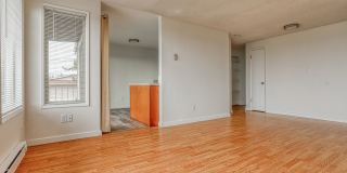 WakefieldM Gallery 3
