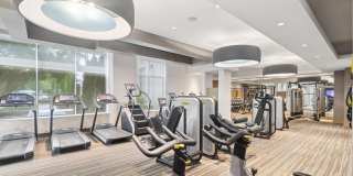 Cirro King of Prussia Gallery 44