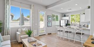 Sienna at South Mountain Gallery 21