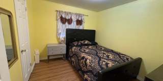 Beautiful 3 Bed 1 Bath Home in Security-Widefield!!! Gallery 8