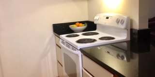 Spacious 1 Bed/1 Bath Condo in Wallingford/Fremont Gallery 6