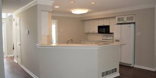 270 FOX RUN Gallery 1