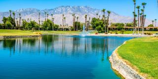 28859 Desert Princess Drive Gallery 29
