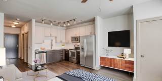 Centric LoHi by Windsor Gallery 9