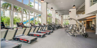 Alluvion Las Olas Alluvion Las Olas Gallery 29