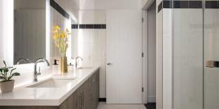 Springline Menlo Park Gallery 19