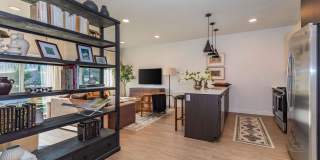 The Clara Gallery 20