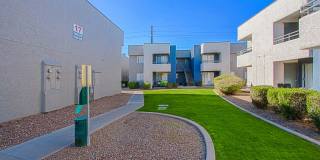 Paloma Village Gallery 18