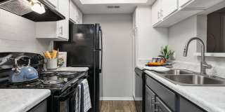 Aurella Cary Gallery 6