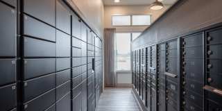 Emory West Cypress Gallery 19