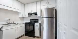 The Dawson Gallery 10