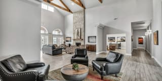 Renaissance Gallery 8