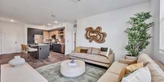 Ocean Creek Gallery 60