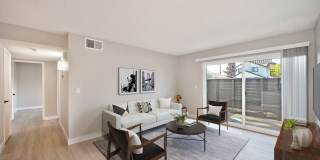 The Harlow Gallery 7