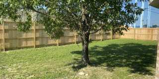 353 Peggy Drive Gallery 17