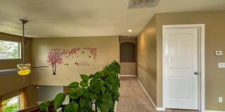 Horseshoe Ridge 4bd 3ba 2,522sq.ft. home FOR RENT! Gallery 25