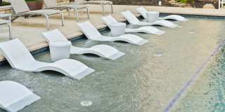 The Standard at Legacy Gallery 54