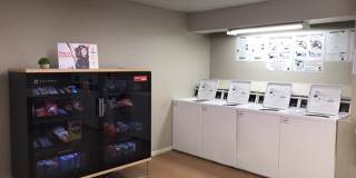 Memorial City Apartments Gallery 11