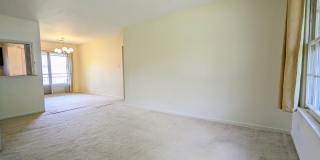 230 Washington Square - D#D Gallery 3
