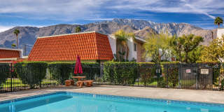 2274 N Indian Canyon Drive Gallery 31