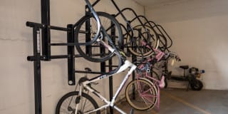 The Novelist Gallery 21