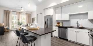 The Pointe on Westshore Gallery 16