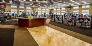 1641 N Shadowview Path Gallery 43