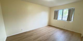 539 N Alameda Ave Gallery 9