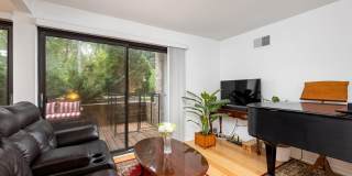 2126 Pauline Blvd Apt 104 Gallery 12