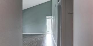 West Fifth Gallery 100