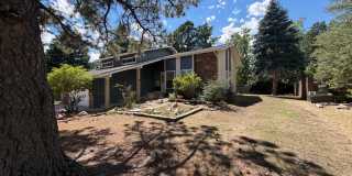 Quiet 5 Bed, 3 Bath Home in 80904 Gallery 4