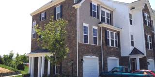 42387 TRELLIS Square Gallery 1