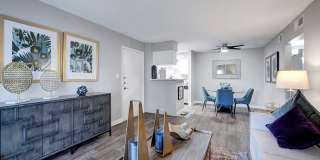 Hampden Heights Gallery 5