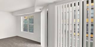 Geno Baroni Gallery 4