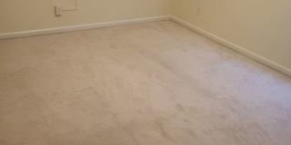 Gorgeous 5bd-3bth Available now!! Gallery 54