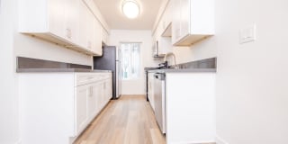 Citrus Gardens Gallery 2