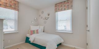 Verve 261 Gallery 23