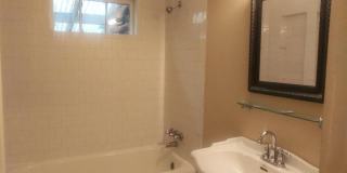 539 Williams Court Gallery 19