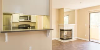 Cityview SD Gallery 46