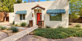 Back Yard Oasis Gallery 1