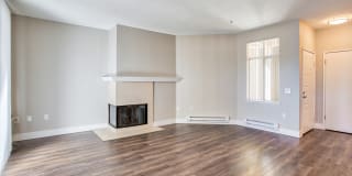 Woodland Meadow Gallery 27